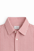Candy Cane Stripes Cut-Away Collar